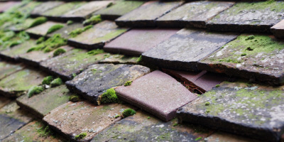 Ewen roof repair costs